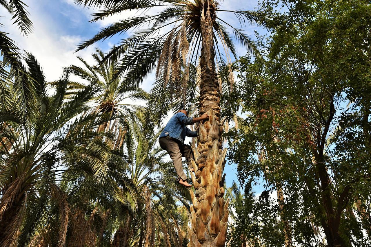 فيلا Dar Ezzahra توزر المظهر الخارجي الصورة