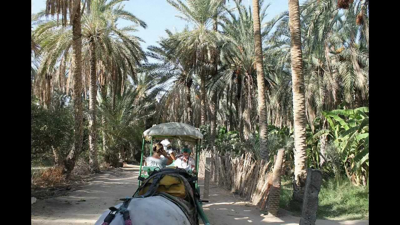 فيلا Dar Ezzahra توزر المظهر الخارجي الصورة